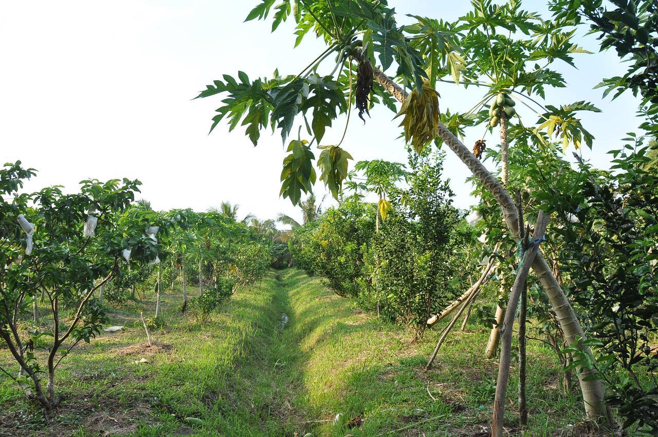 Orchard Fruit Farm Bungalow Phu Quoc Exterior foto