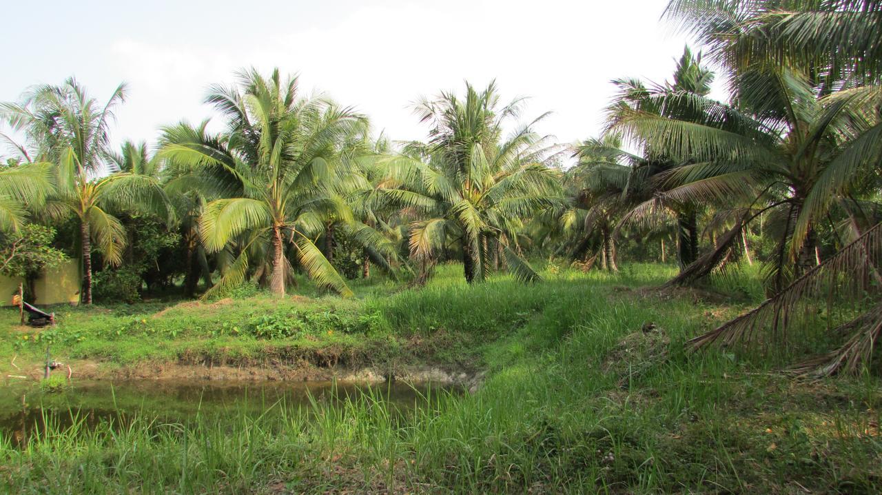 Orchard Fruit Farm Bungalow Phu Quoc Exterior foto