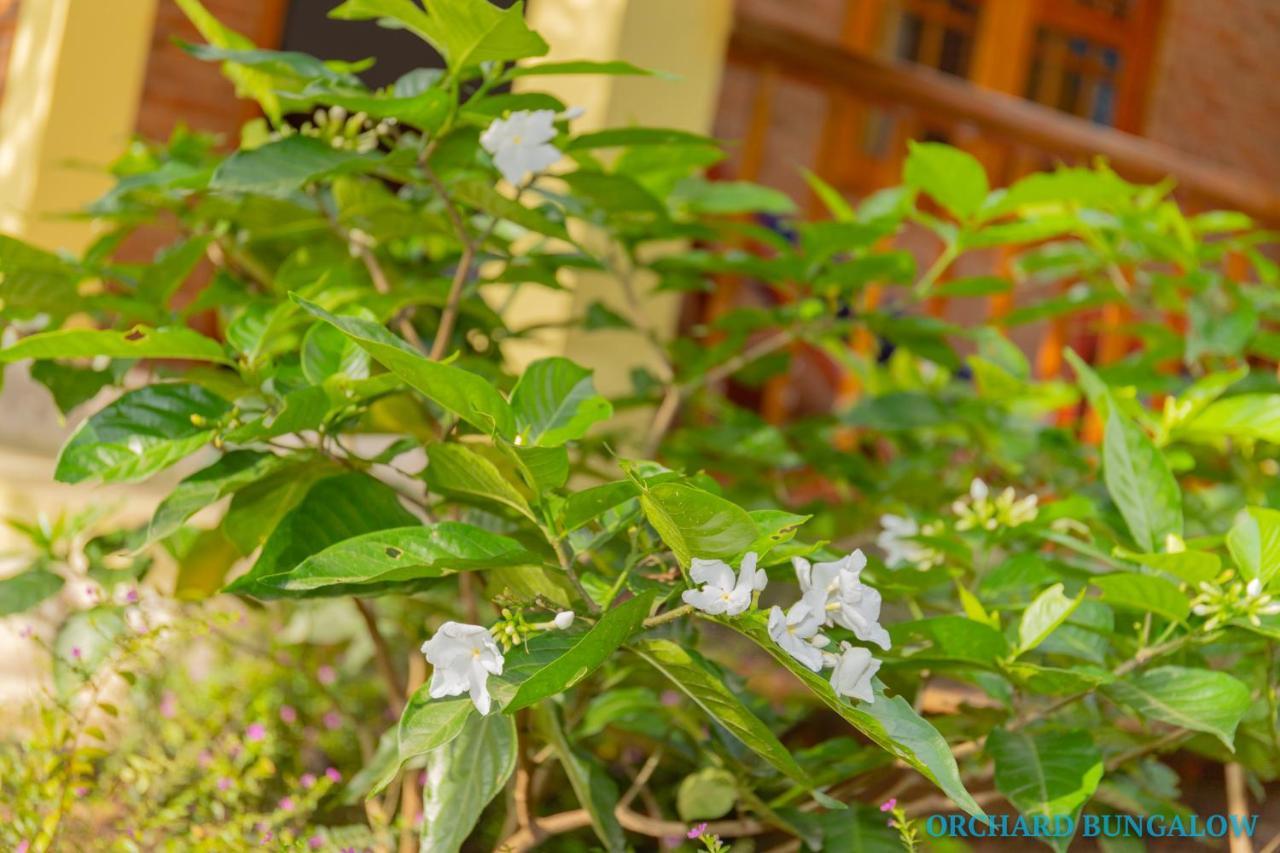 Orchard Fruit Farm Bungalow Phu Quoc Exterior foto