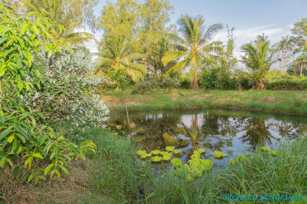 Orchard Fruit Farm Bungalow Phu Quoc Exterior foto