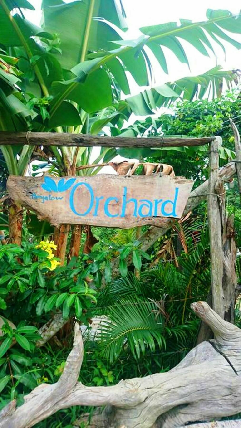 Orchard Fruit Farm Bungalow Phu Quoc Exterior foto