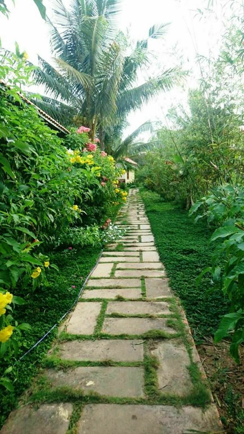 Orchard Fruit Farm Bungalow Phu Quoc Exterior foto